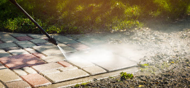 Best Roof Washing  in Tatamy, PA